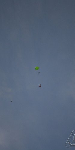 2012 Svojek mirek patek